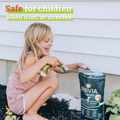 Natural Insect Repellent