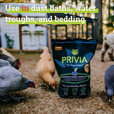 Natural Insect Repellent