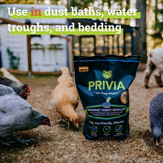 Natural Insect Repellent